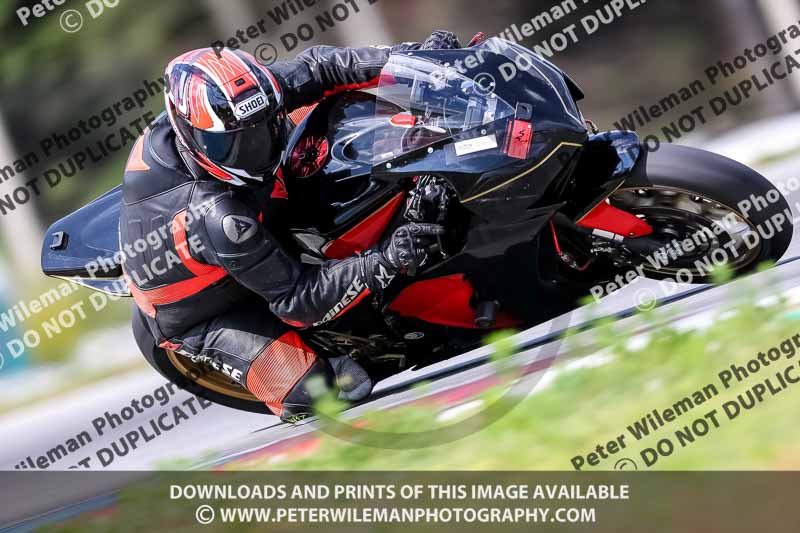 15 to 17th july 2013;Brno;event digital images;motorbikes;no limits;peter wileman photography;trackday;trackday digital images